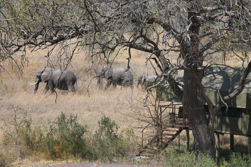 Nkasa Lupala Tented Lodge Sangwali Dış mekan fotoğraf